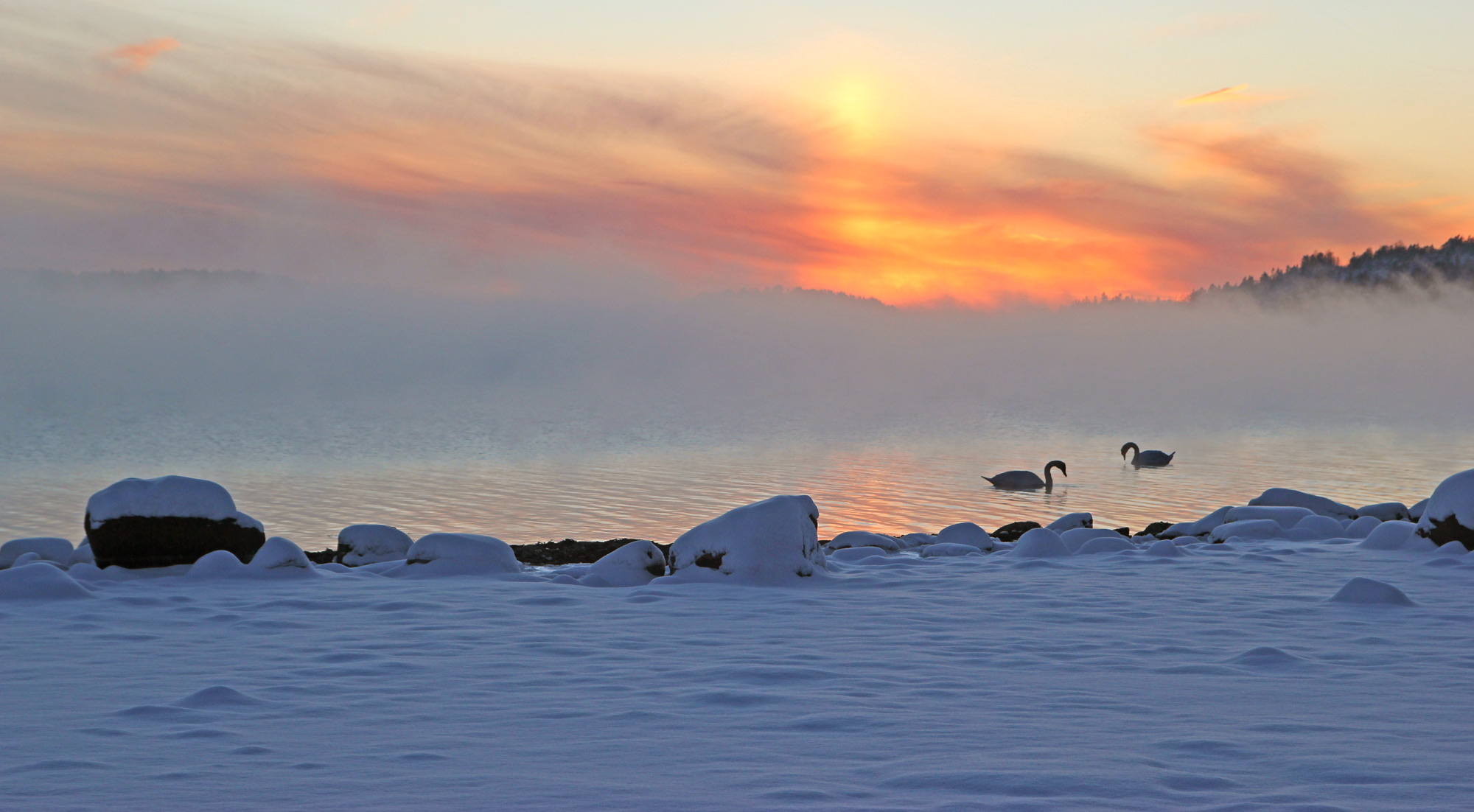 Stressmestring – intervjuet av Ledernytt.