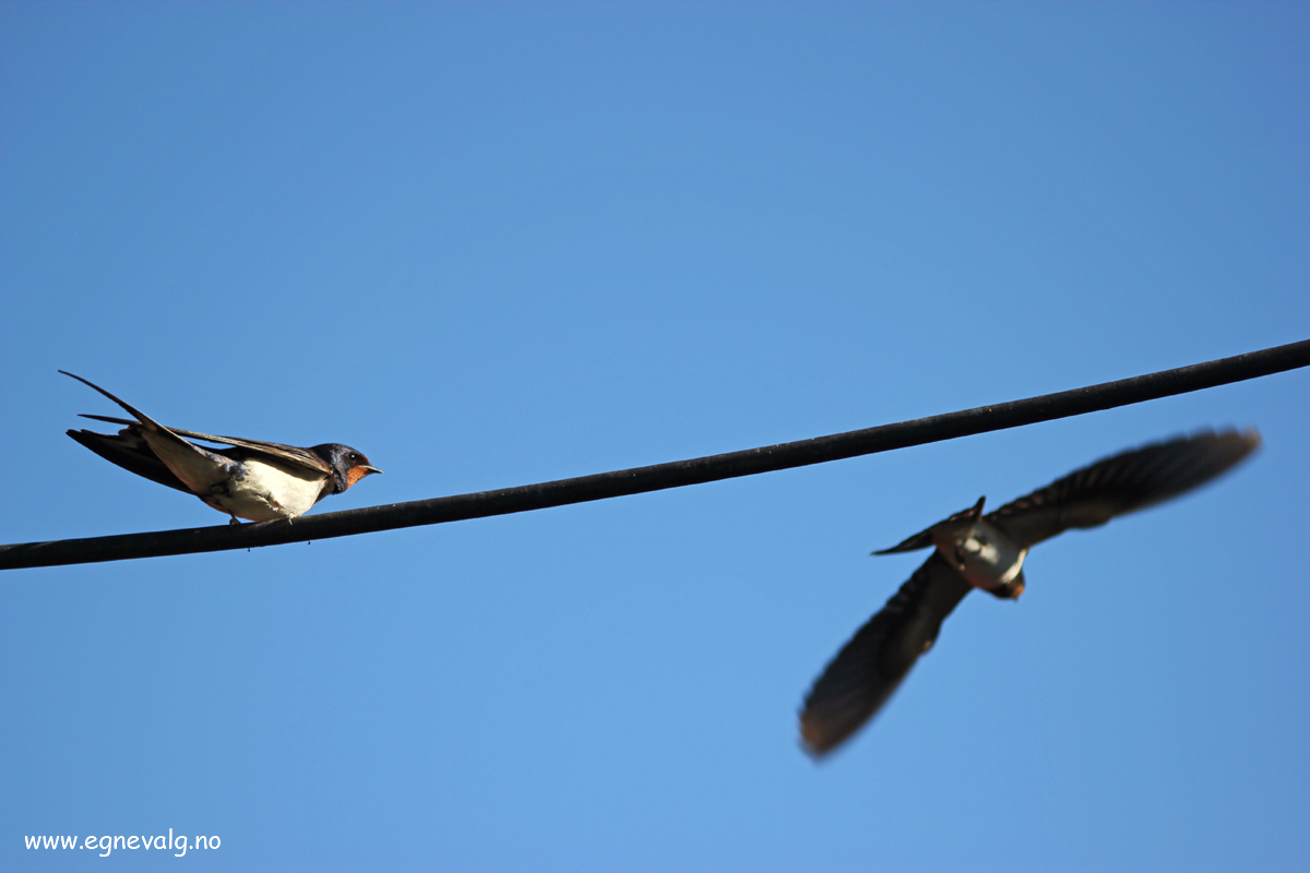 Å kunne slippe – To let go.