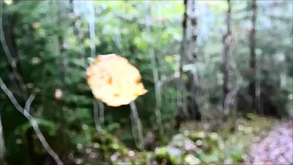 Hverdagsterapi – Every day therapy