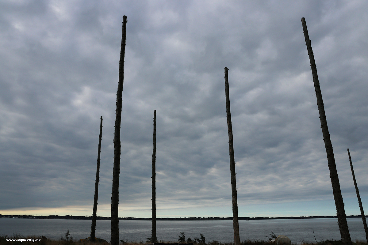 Tankeleser ord til ettertanke