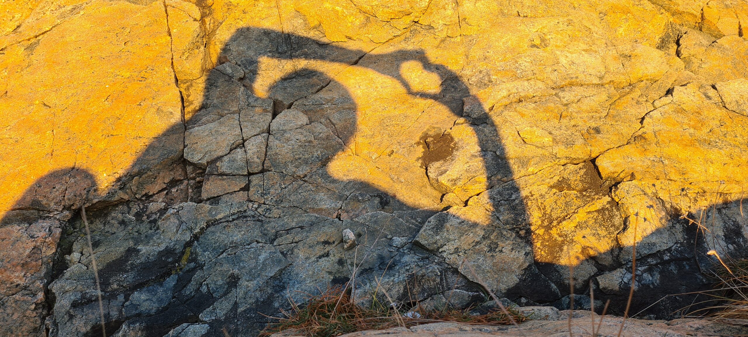 Kvinnedagen gratulerer ❤️ International womens day