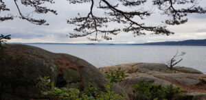 Utsikt fra Kjøvangen i oktober