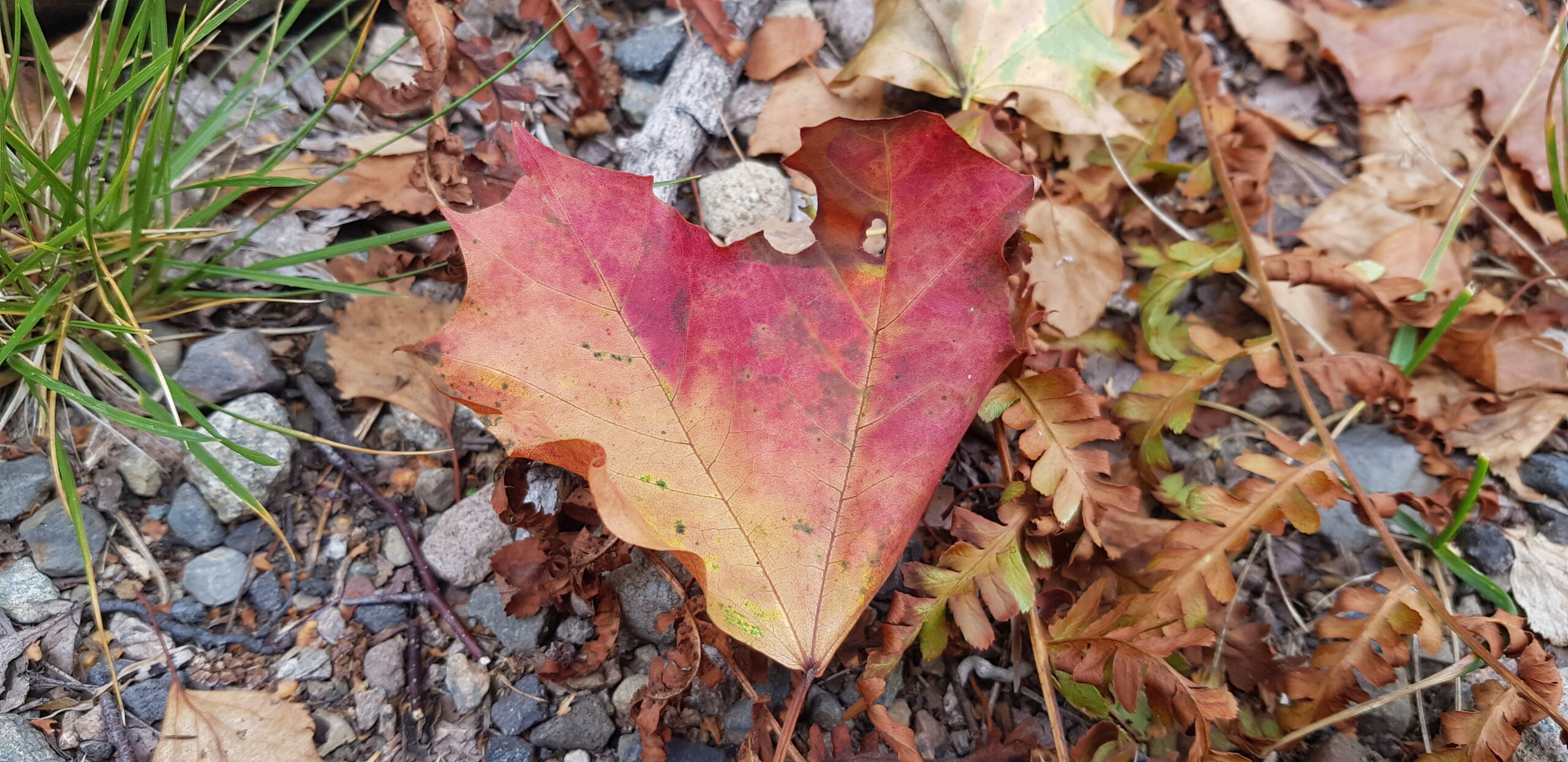 Bli med på tur / bad 10 oktober – Verdensdagen for psykisk helse